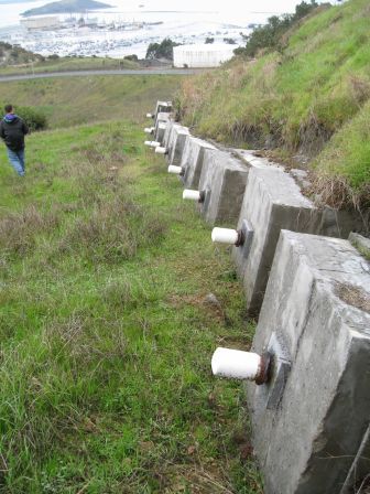 Rock Bolts after Planting