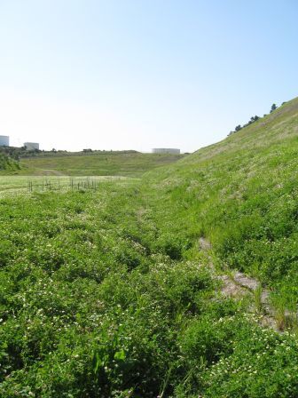 Toe of Slope Vmax Ditch Lining April 2010