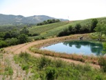 Vineyard Reservoir Evaluation